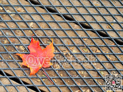 Tread of autumn. Lonely red maple leaf on metal grid over wooden flooring