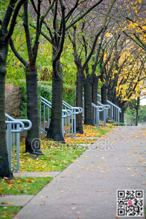 Paved pathway in a park through residential area in Vancouver, Canada