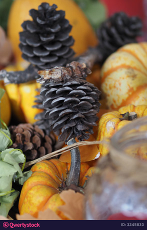 Decorative autumn display with pumpkins and pine cones photo 3245833